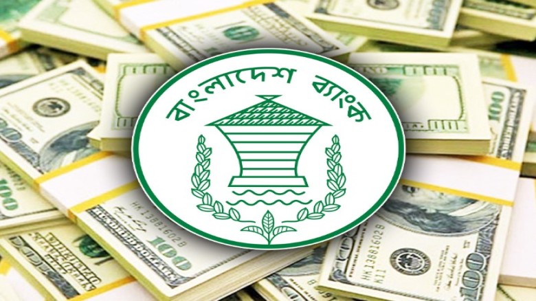 জানুয়ারিতে সর্বাধিক রেমিট্যান্স এলো যেসব দেশ থেকে...